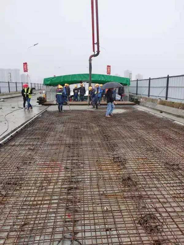 湘潭二大桥维修加固工程建设稳步推进